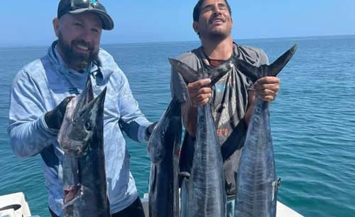 Baja mexico