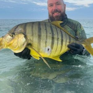 Tony spearfishing Golden Trevally in Baja Mexico