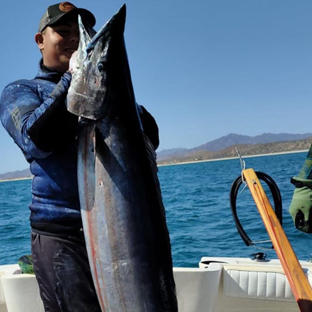 Diego catches the wahoo of a lifetime in Baja