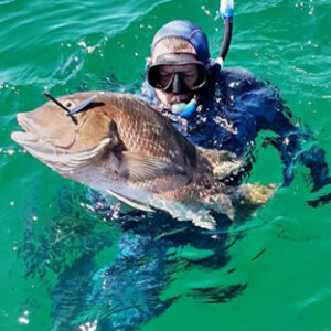 Landing a Barred Pargo