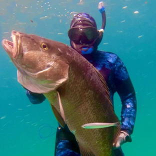 Underwater shot on a Baja charter